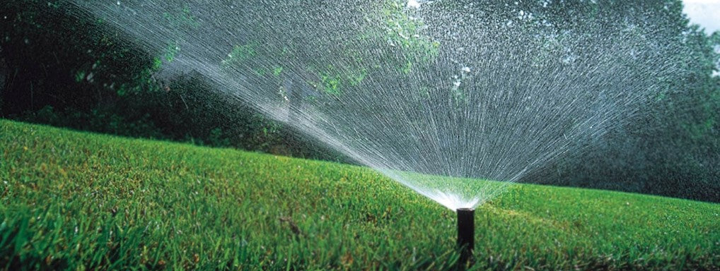 Maintaining Your Lawn's Irrigation System: Tips for Troubleshooting or Replacing a Rain Bird Sprinkler Head